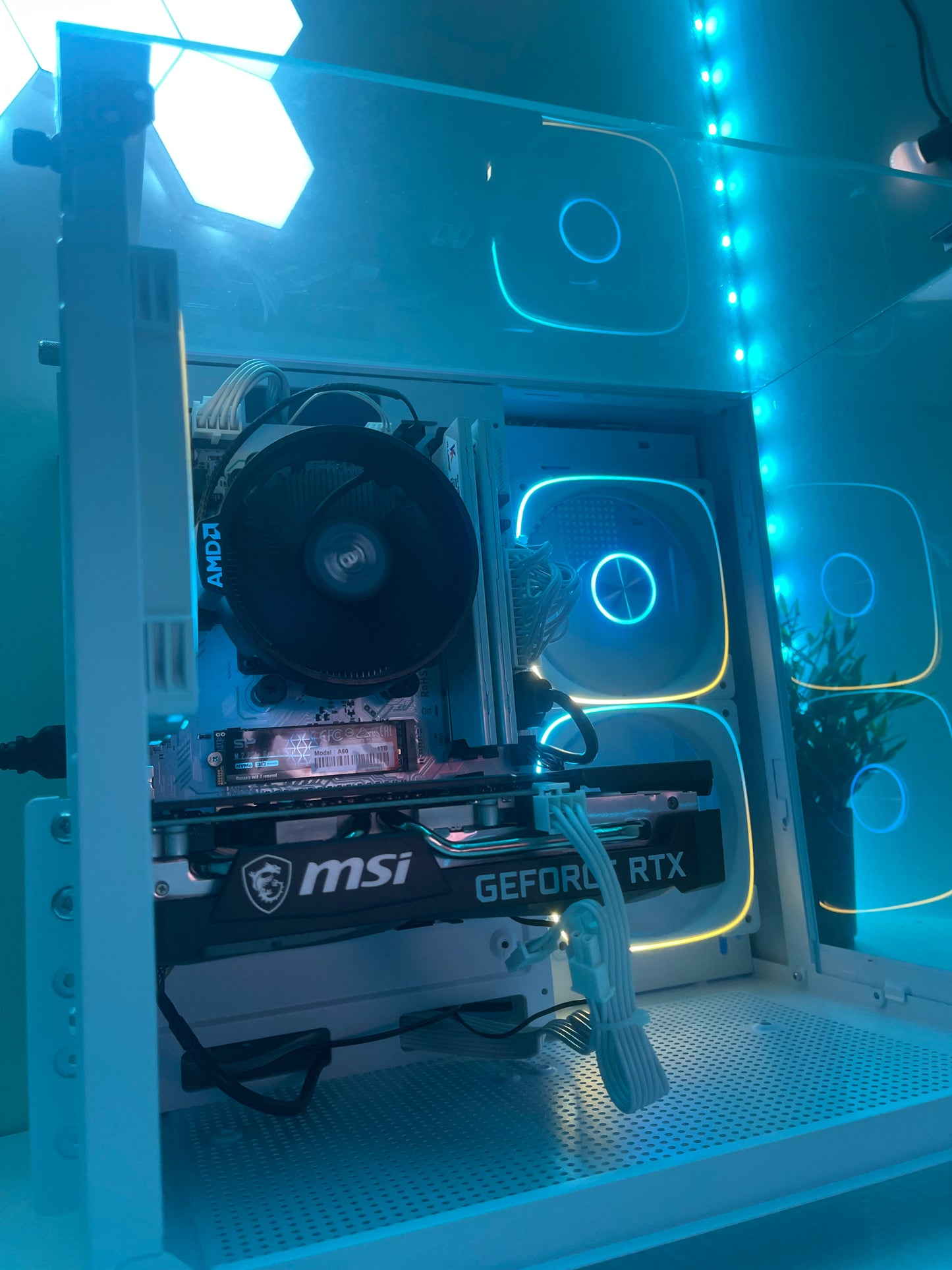 Game Ready 3050 8GB Edition | Ryzen 5